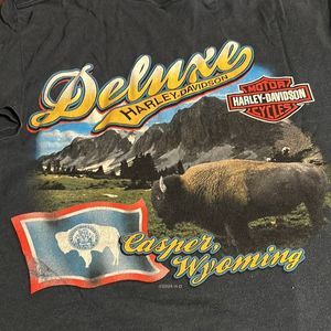 Black Hills rally Sturgis, South Dakota, 2014 Harley Davidson